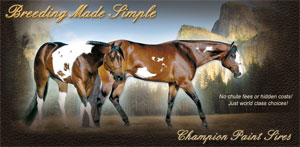 Frozen Assets - Breeding Made Simple - Champion Paint Sires