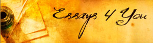 Essays 4 You